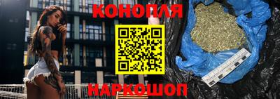 гашик Анжеро-Судженск