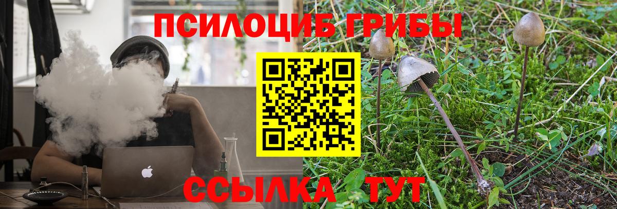 Галлюциногенные грибы Psilocybe Богородск