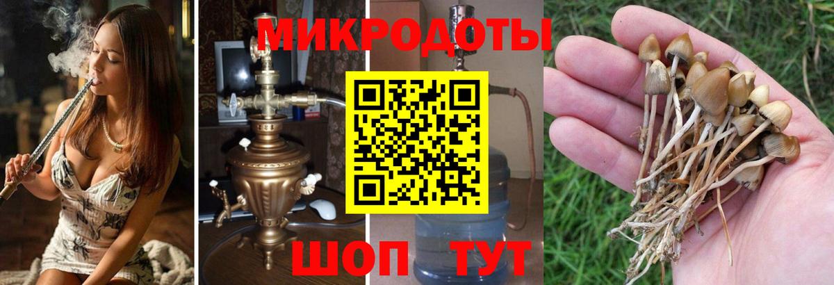 Богородск  Псилоцибиновые грибы Magic Shrooms  Вход с VPN 